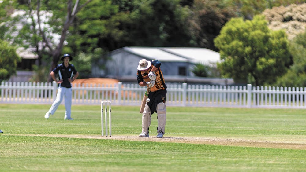 Highs and lows of local cricket post image