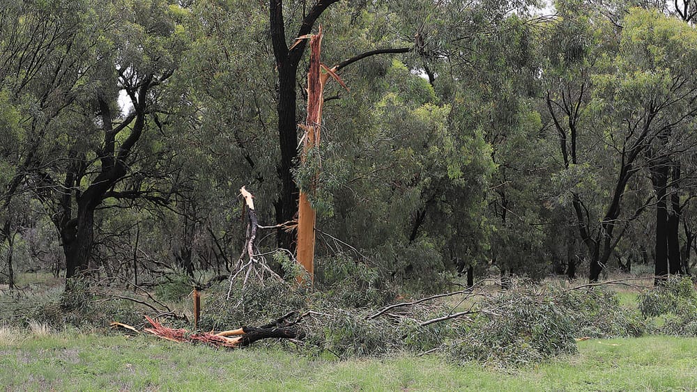 Strike, That Was Close post image