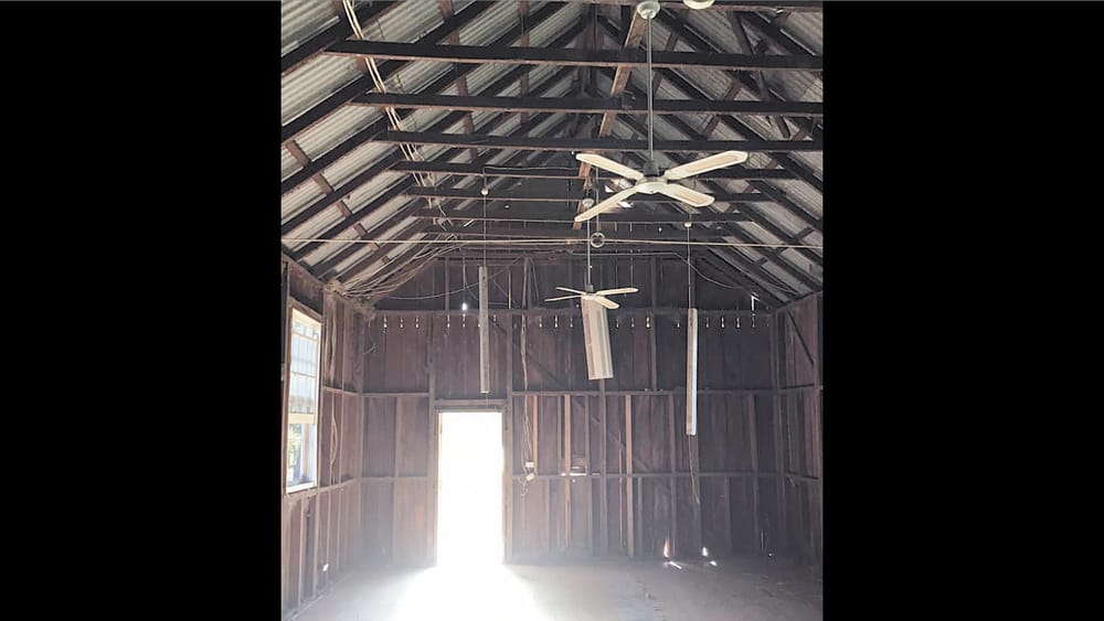 Hall Took A Fall post image