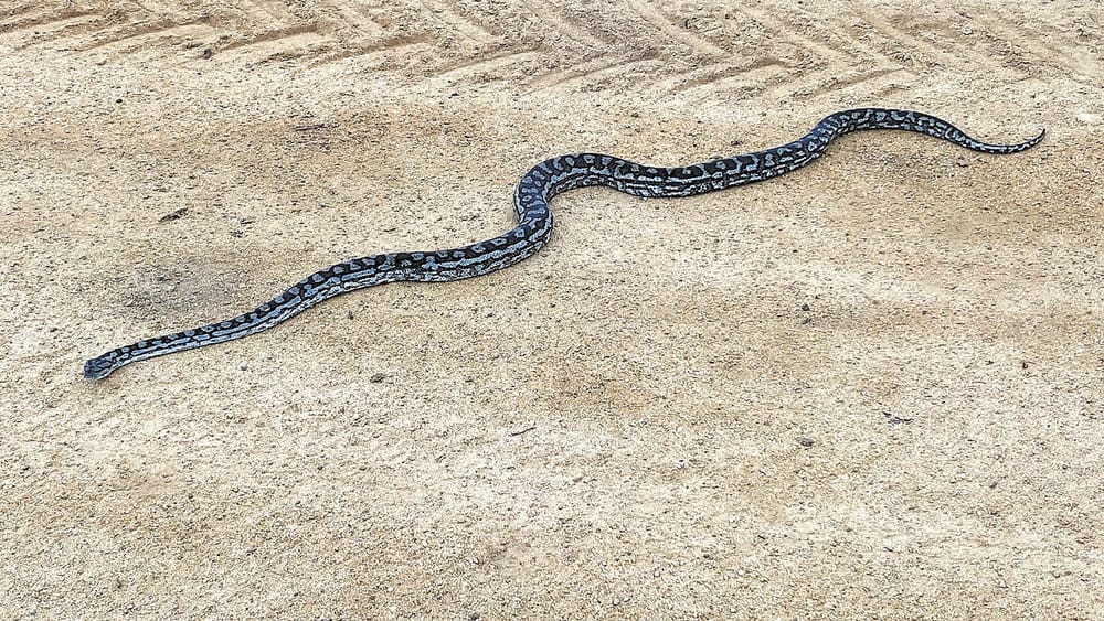 Nature Knows No Bounds post image