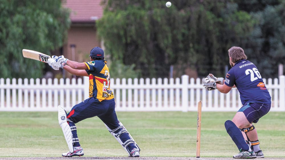 Cricket Back in the Swing post image
