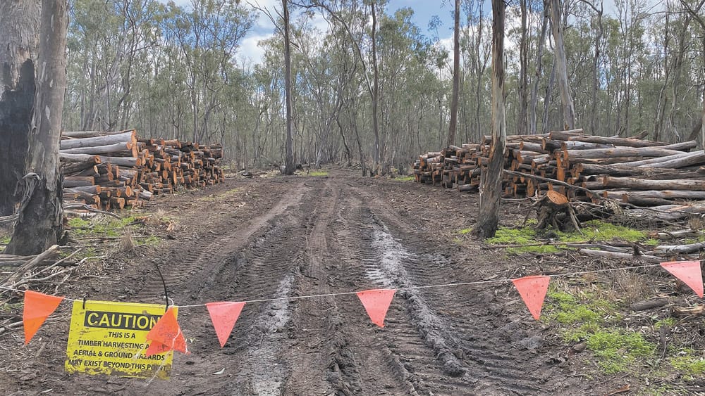 Logging and Watering in Guttrum post image