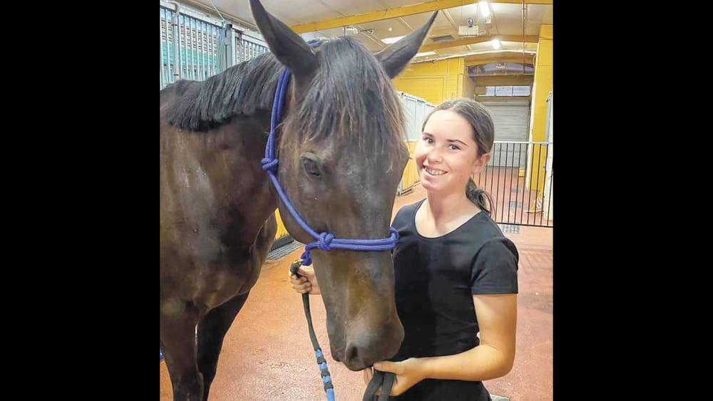 Costly Colic: Update on Burg post image