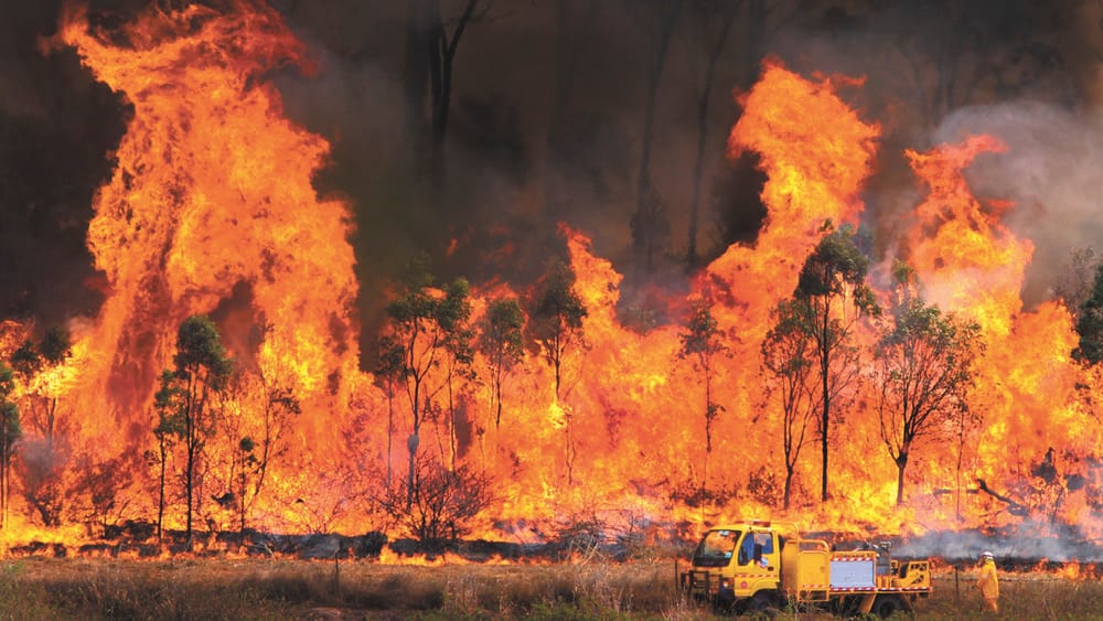 Prepare Now for Fire Season post image