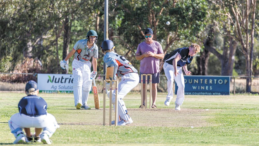 Cricket Takes Swing post image