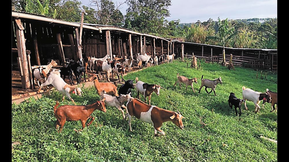 A Solutions Focused Approach post image