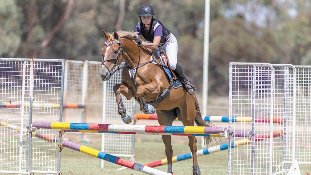 Wakool Show: Show Me! post image