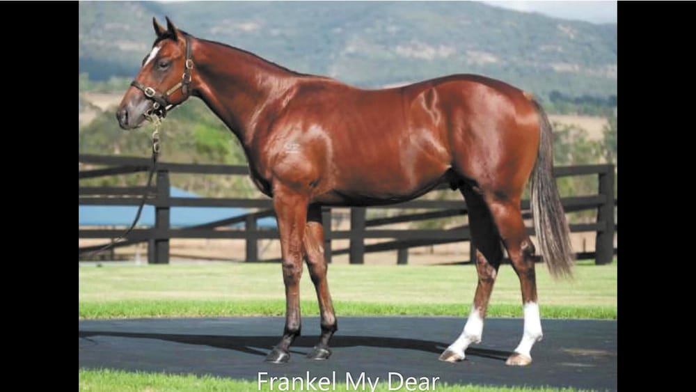 What A Stud! post image