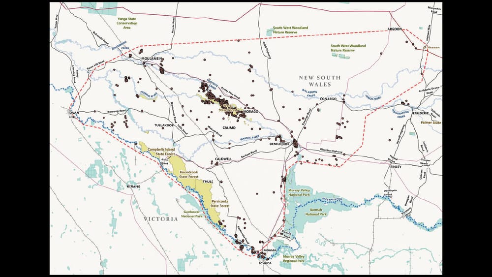 Community Unites in the Line of Fire post image