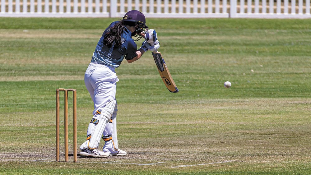 Ladies Cricket Smash post image
