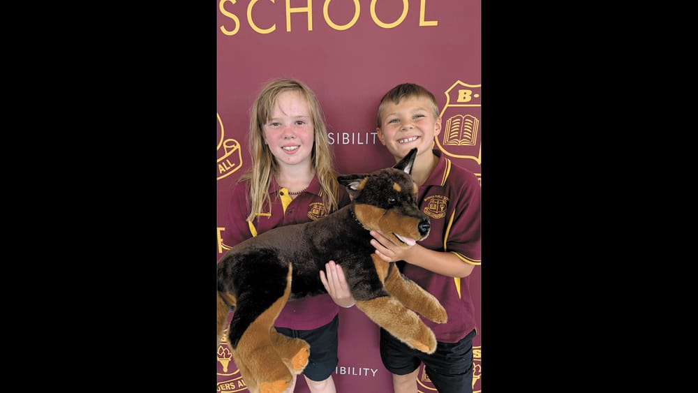 The Barham Public Bulletin post image