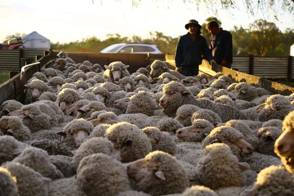 Friday, July 3 post image