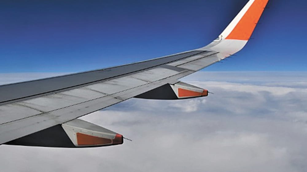 Winging Our Way North post image