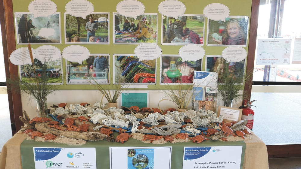 Fish and Turtles Galore post image