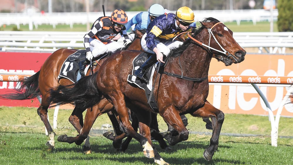 Great day at Caulfield for Jye post image