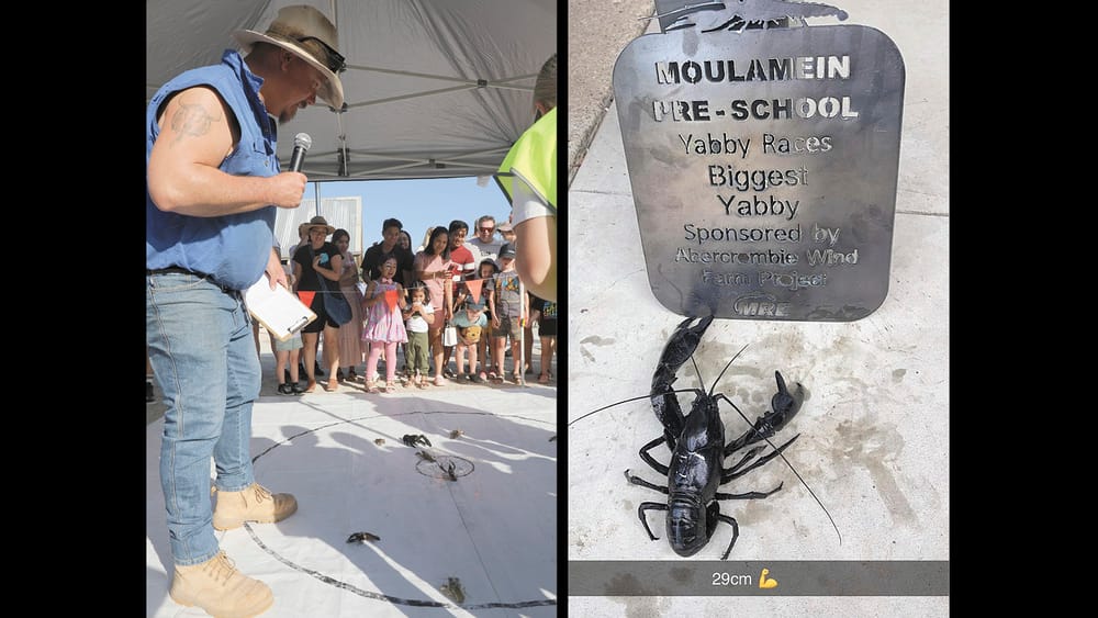 Yabby Races Break Records post image