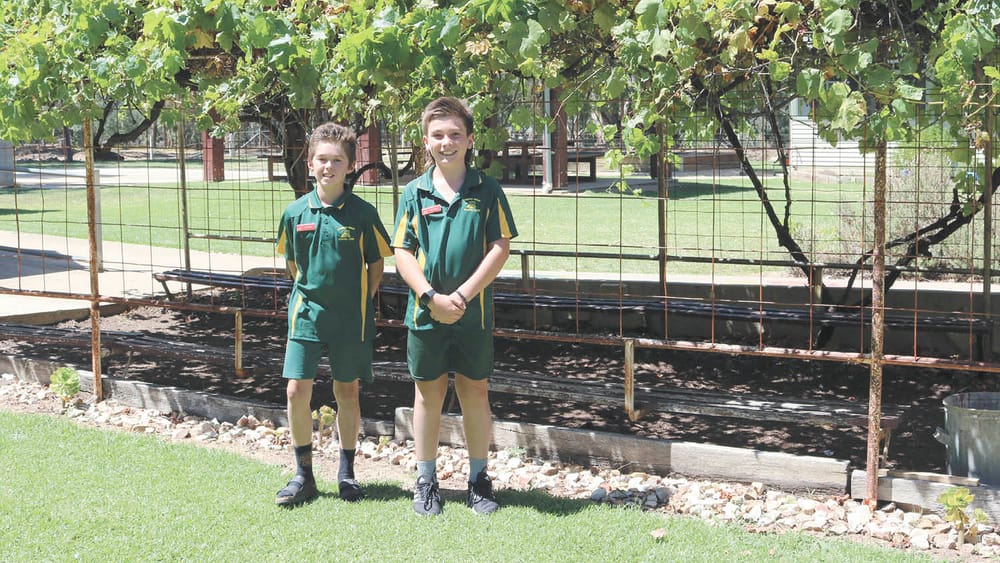Hard Yards at School post image