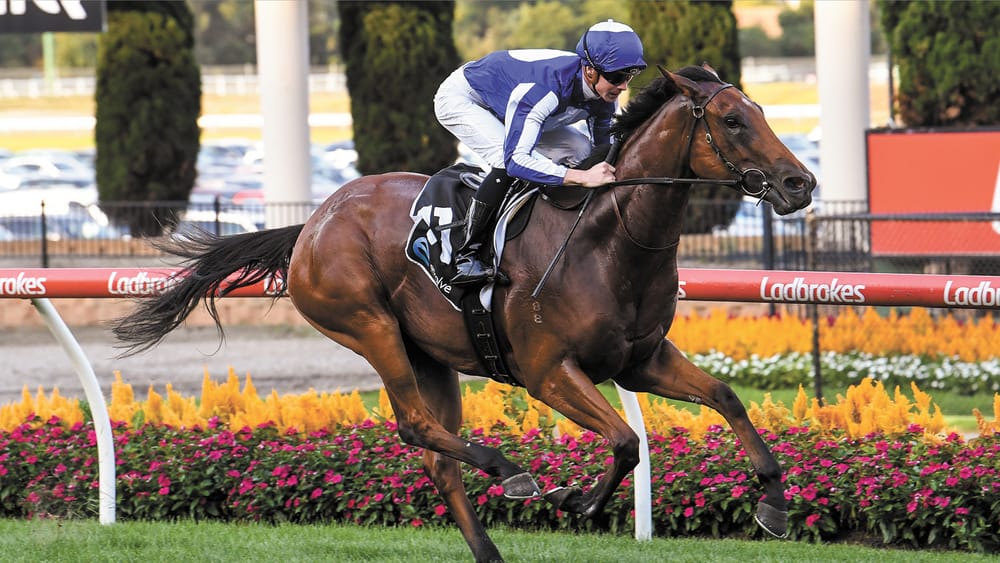Challenging Week for the Nags post image