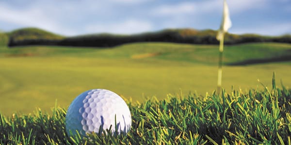 Barham Golf Club Roundup: August 20, 2020 post image