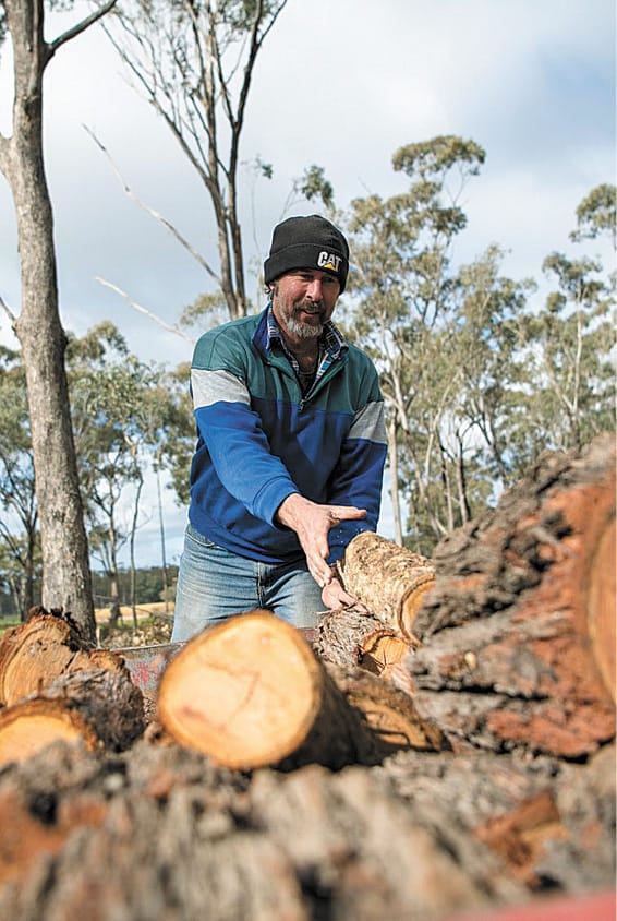 Firewood Season Closes Tuesday post image