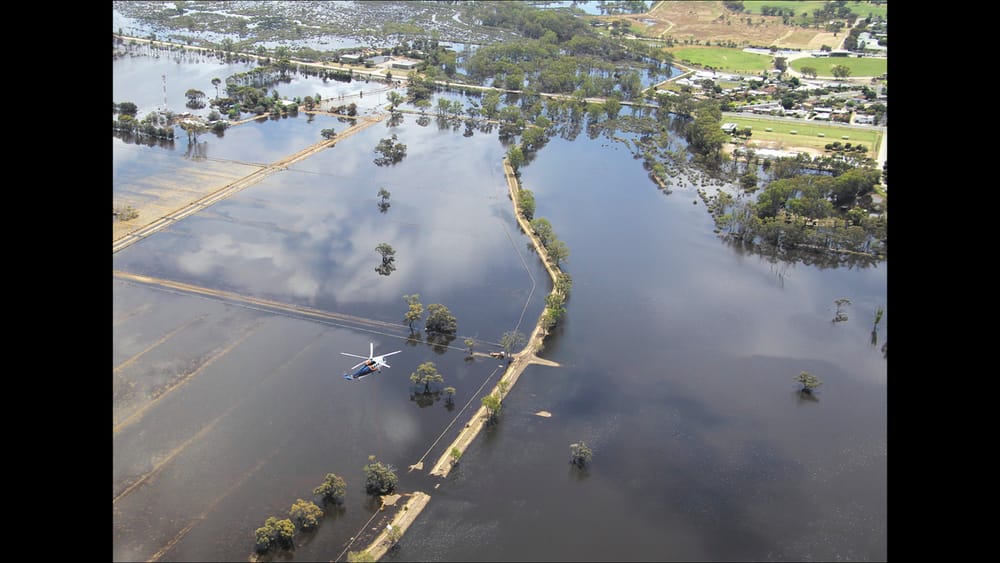 Bulka Bags Fill Breach post image