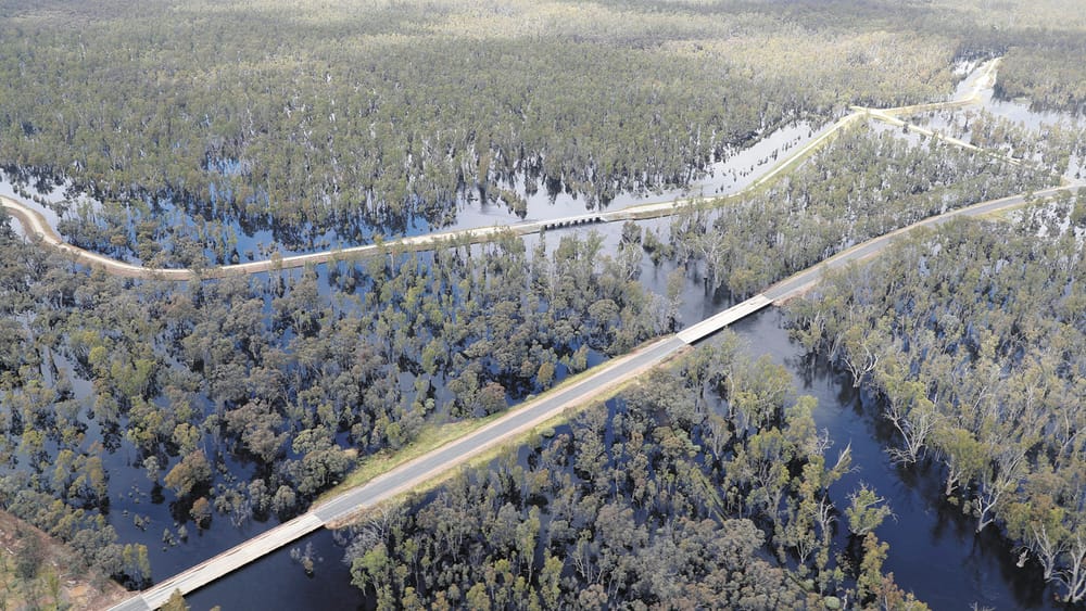 Premature Peak? post image