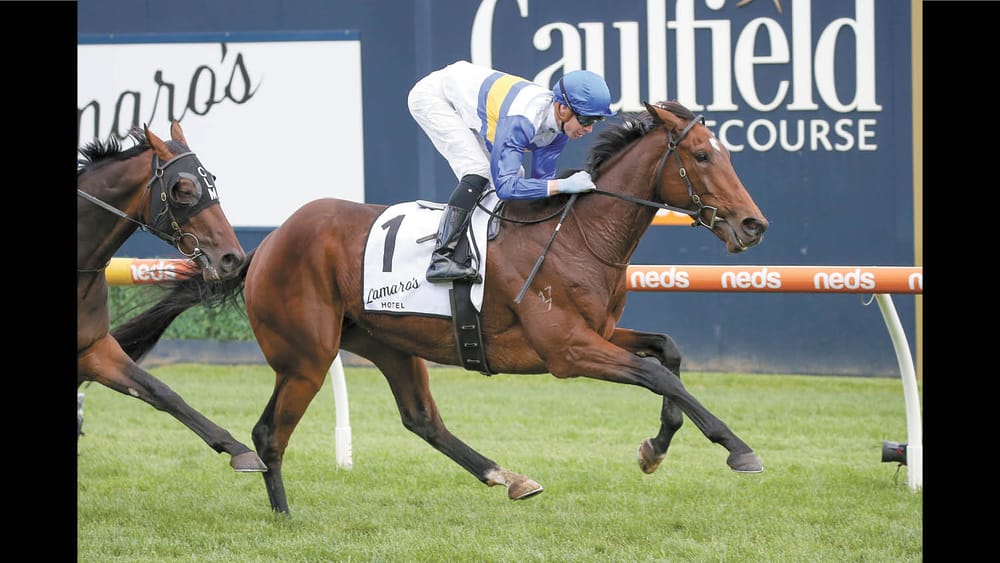 Winning Form for McNeil Brothers post image