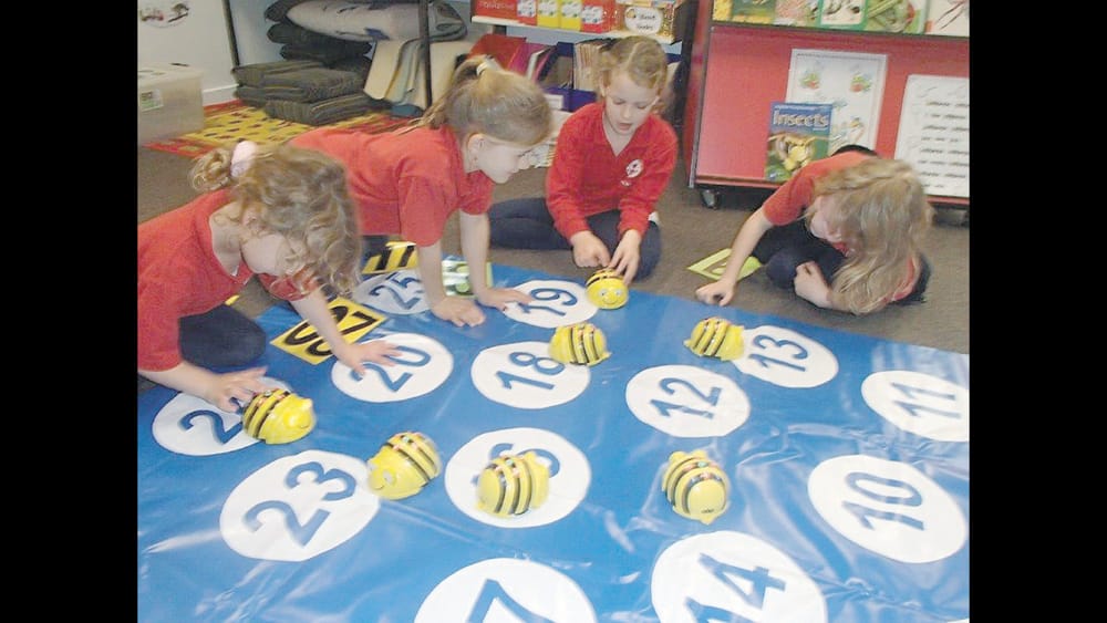 Bee-Bots post image
