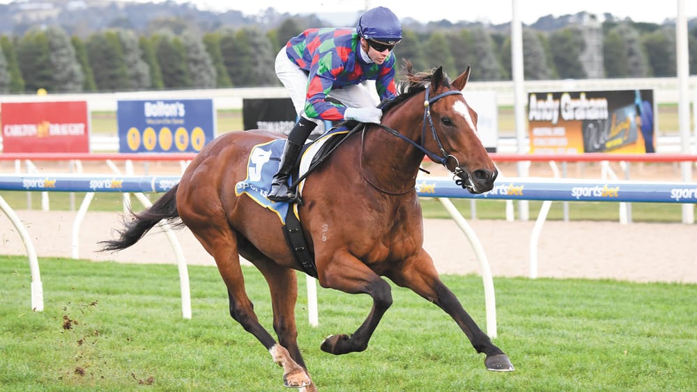 Seven More Wins for Jye McNeil post image
