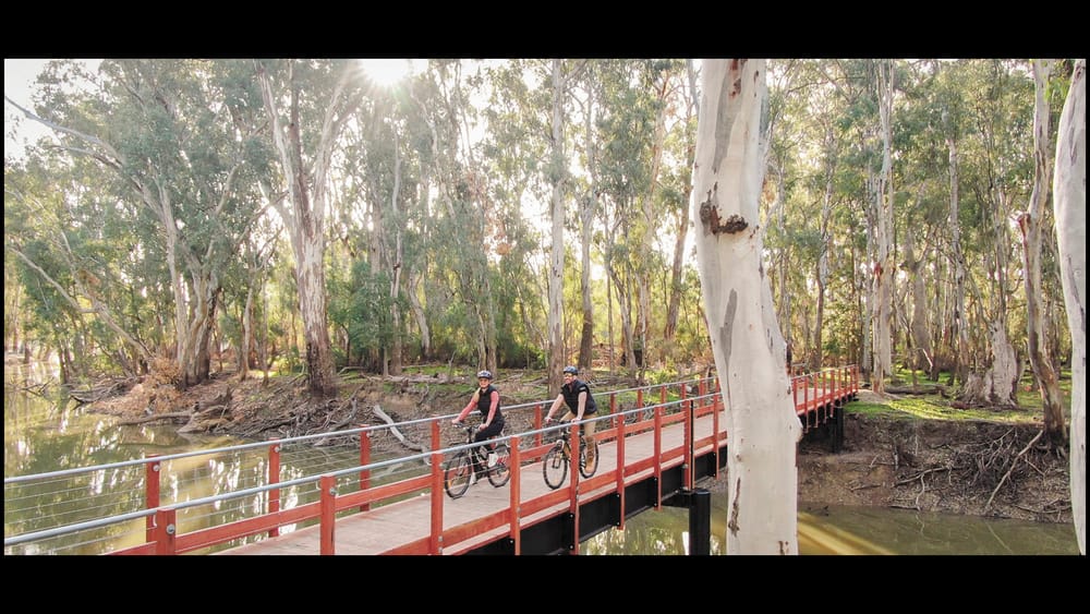 Have Your Say as Red Gum Goes Away post image