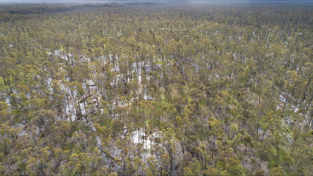 High Flows Holding post image