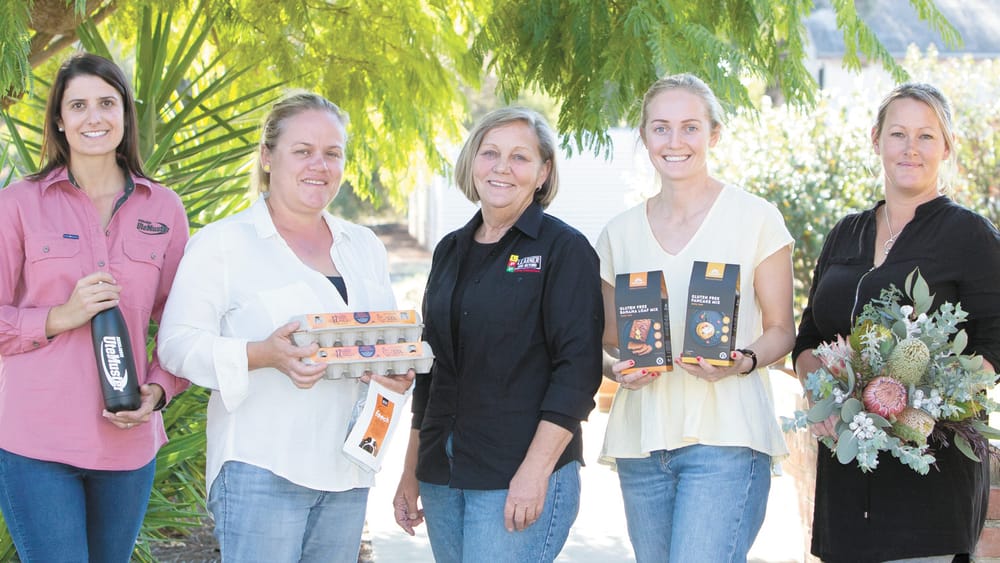 Taking Small Business, Farm and Community Groups to the Next Level post image