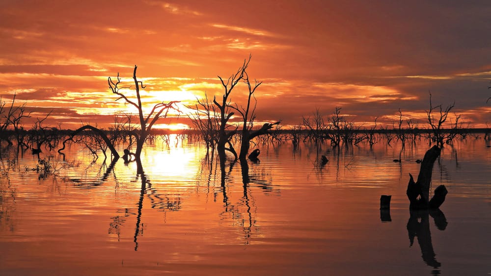 Water Transparency Bill Remains Opaque post image