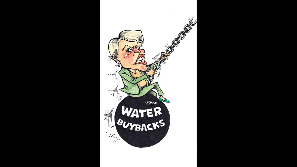 Replace Plibersek, say community groups post image