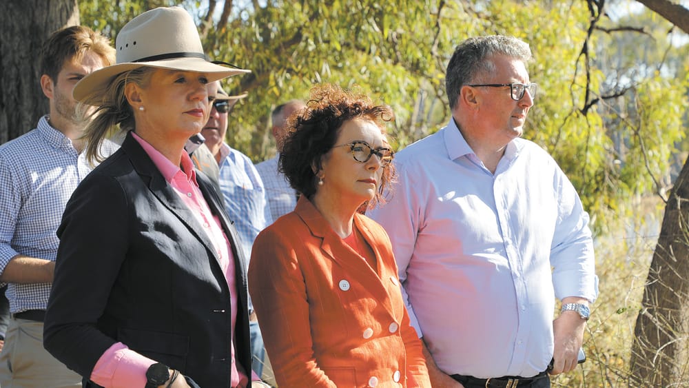 Pollies on Tour post image