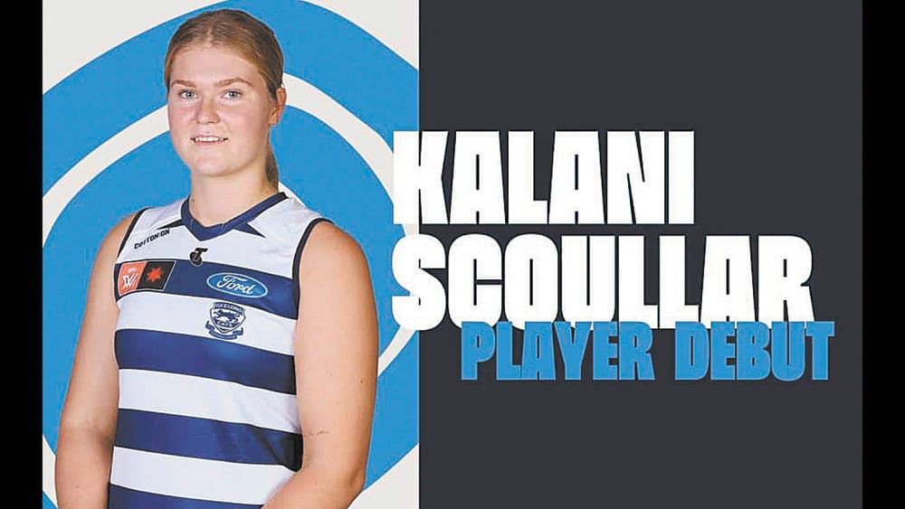 Kalani’s Cats Debut post image
