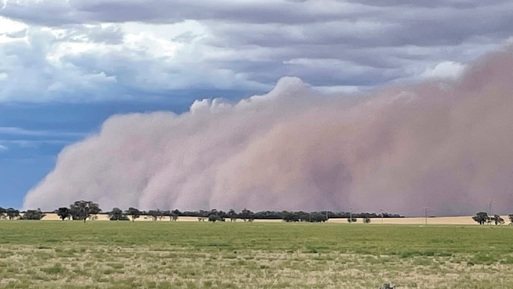 Moulamein Notebook- March 3, 2022 post image