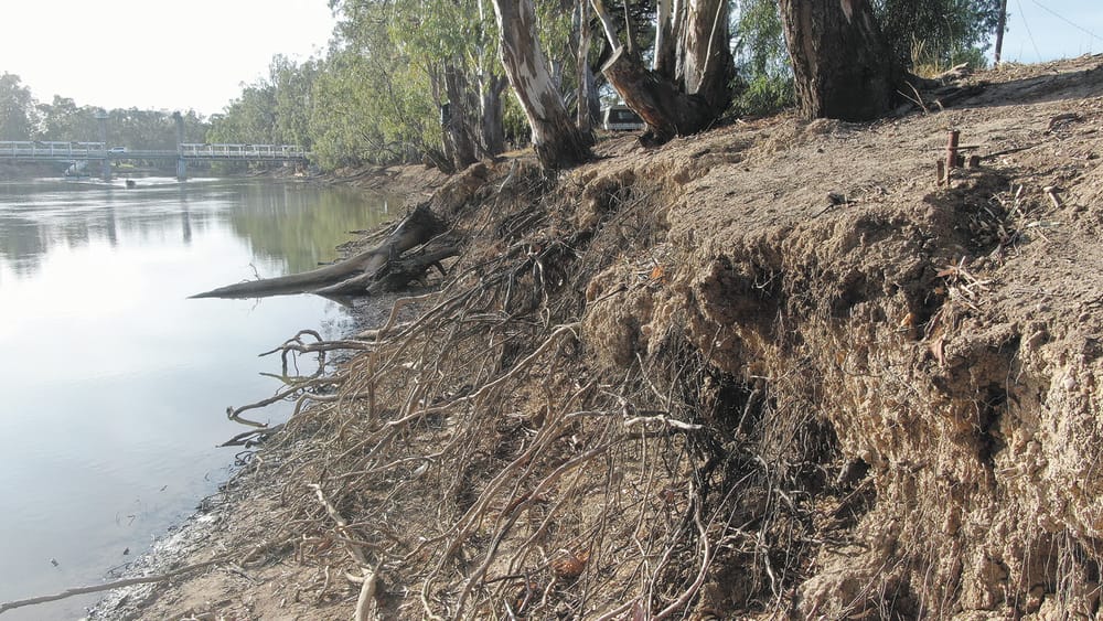 Class Action? post image