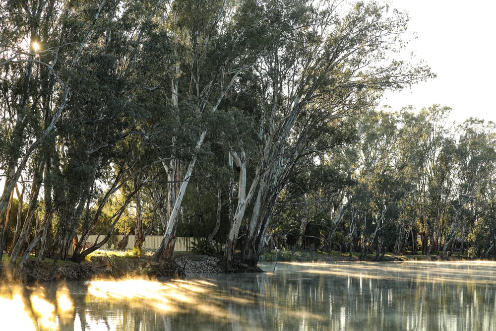 Wednesday, July 1 post image