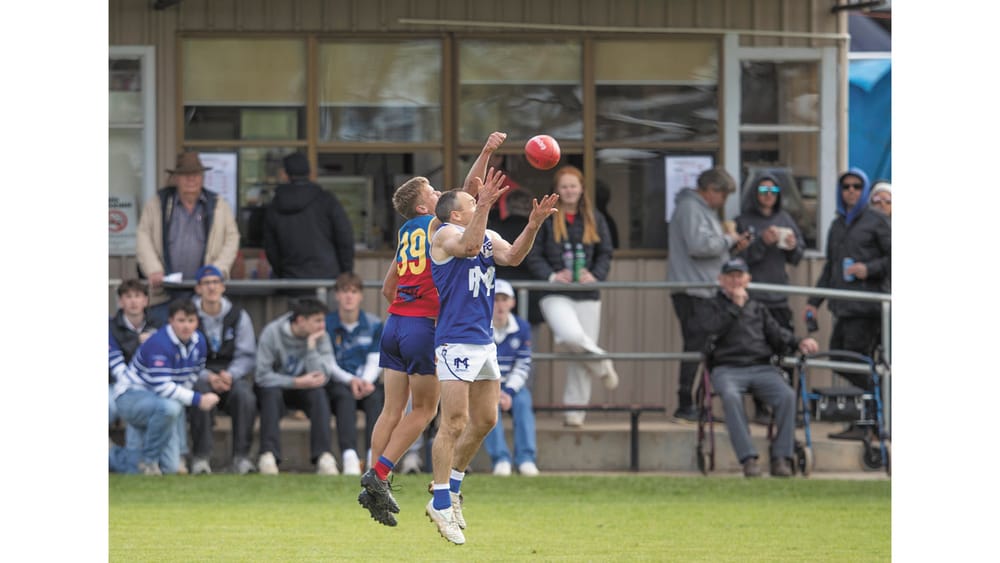 GRFL Weekly Wrap - 4 September, 2025 post image