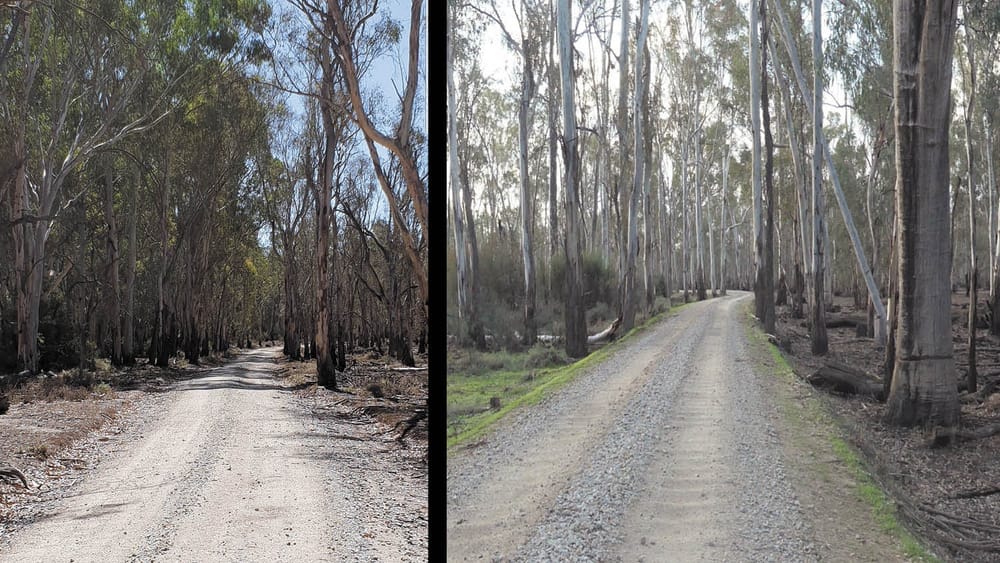 Learn From The Past post image