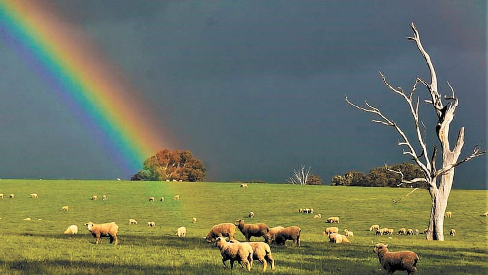 Thunder, Lightning, then a Rainbow! post image