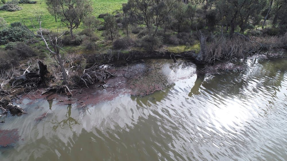 Recent Fish Deaths Reignite Management Frustration - part 2 post image