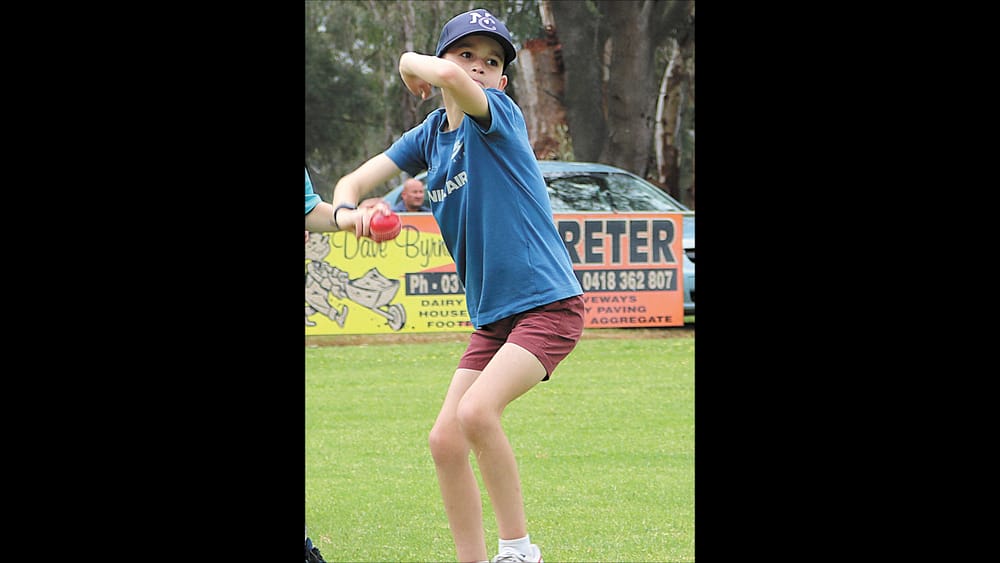 School Holiday Cricket Program post image