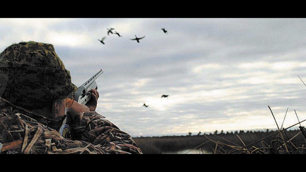Duck Hunt Decisions Under Scrutiny post image