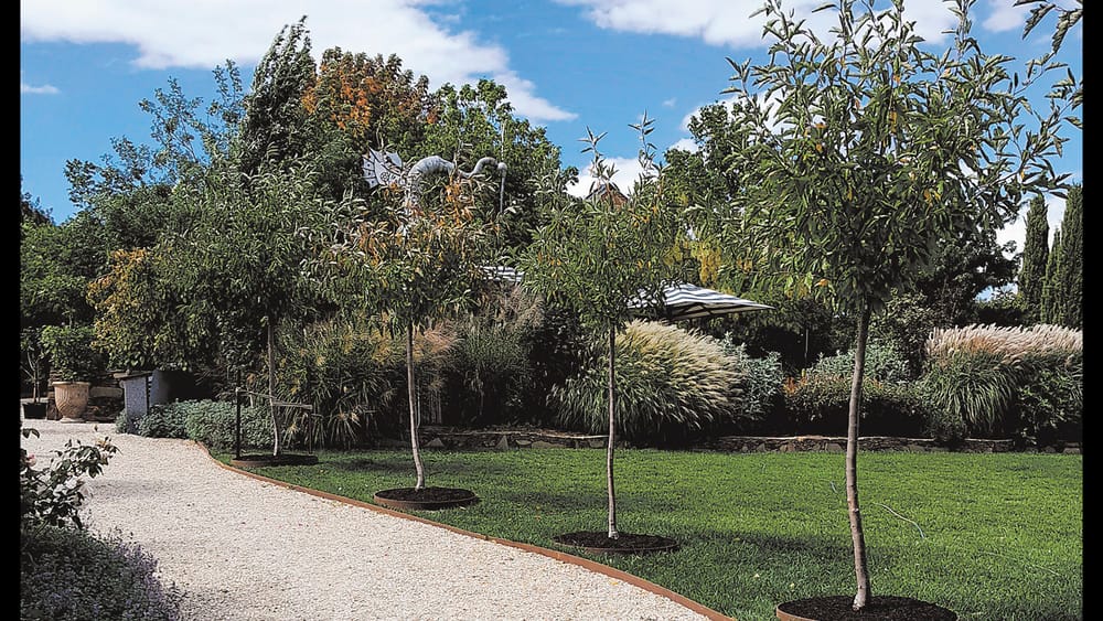 Garden Society - April 20, 2023 post image