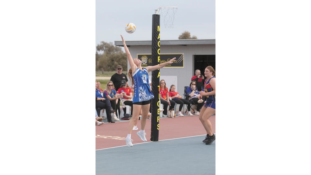 GRFL Weekly Wrap - 11 September, 2025 post image