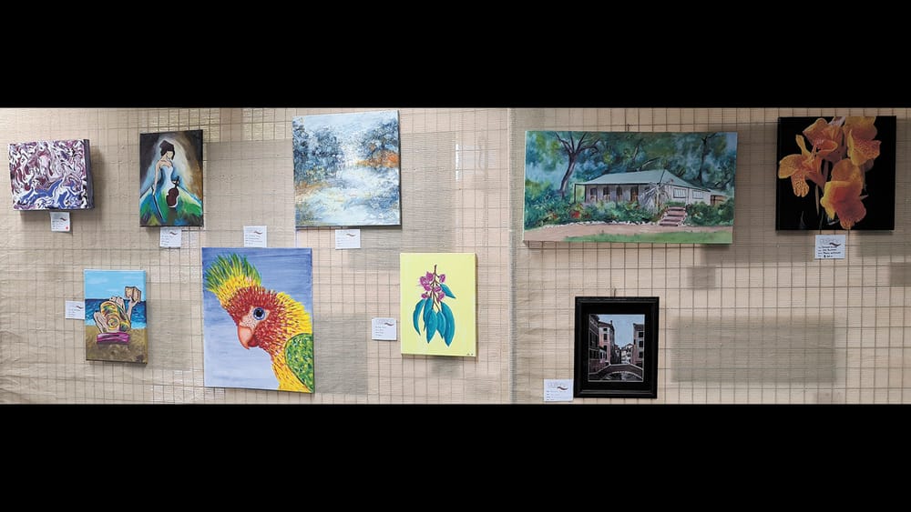 Moulamein Artists on Display post image