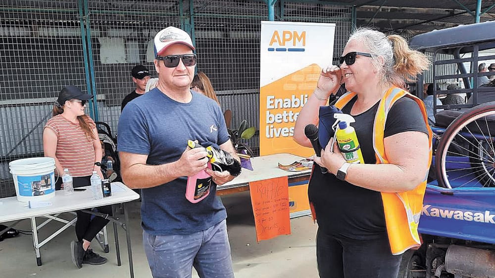 Shine and Shine for Langy post image