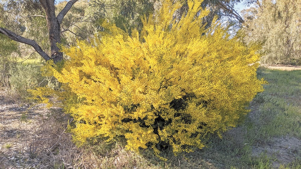 Spring Has Sprung post image